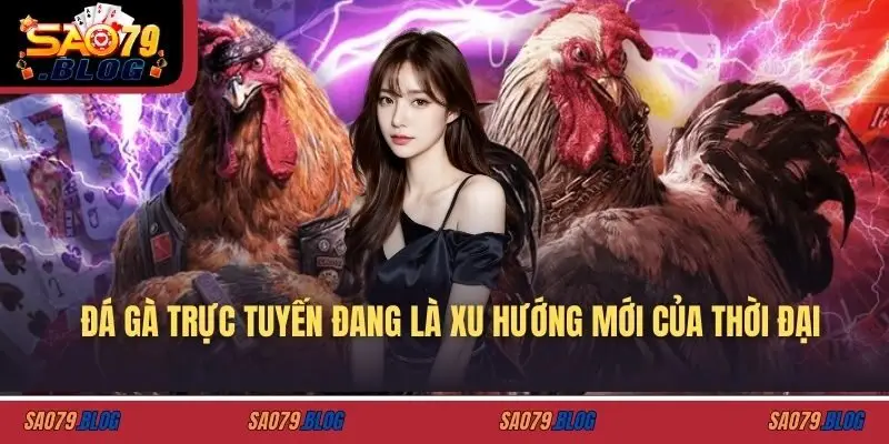 Đá gà trực tuyến đang là xu hướng mới của thời đại