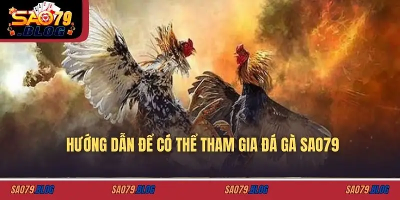 Hướng dẫn để có thể tham gia đá gà SAO79