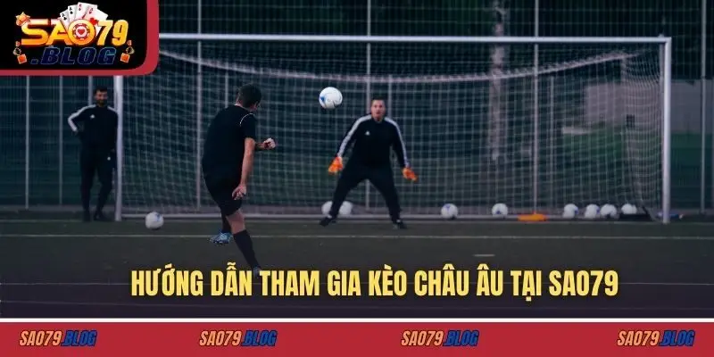 Hướng dẫn tham gia đá gà thomo tại SAO79