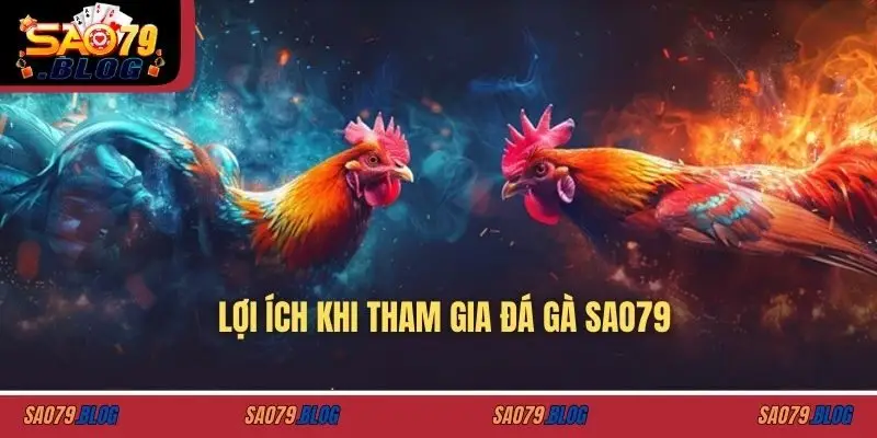 Lợi ích khi tham gia đá gà SAO79